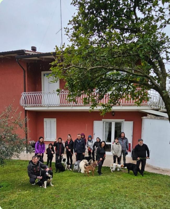 Pace, Luminosità e comodità a due passi dal Garda Volta Mantovana Exterior foto